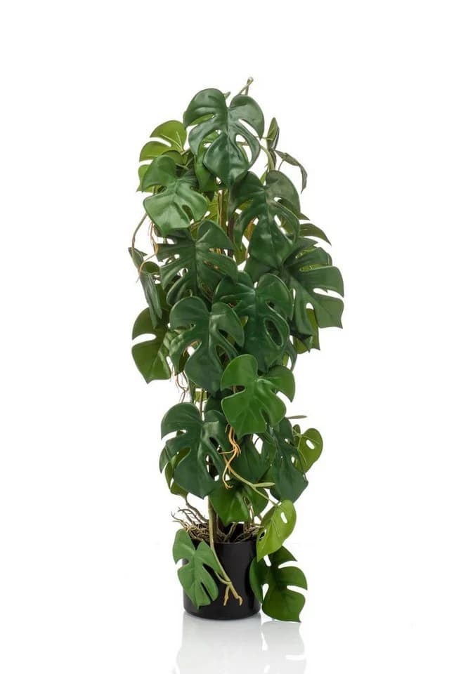artplants Künstliche Monstera Deliciosa 75cm Grün
