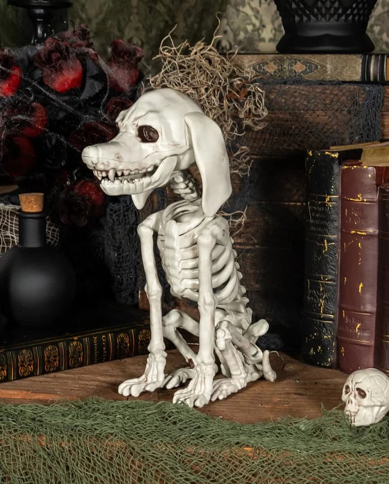 Horror-Shop Dekoobjekt Pudel Hundeskelett Halloween Dekoration