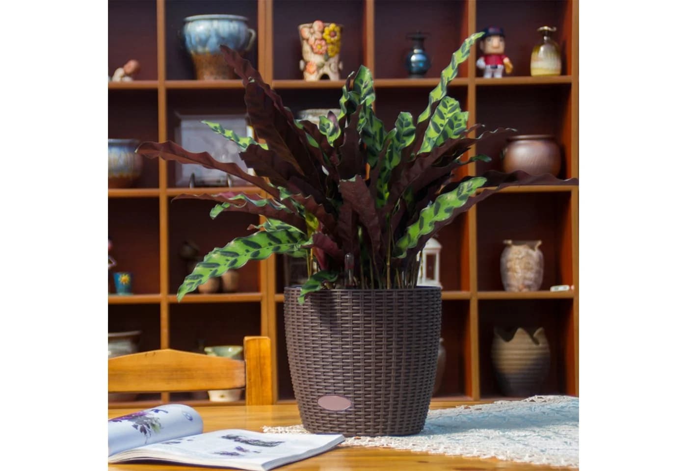 HTI-Living Blumentopf Nessa Hydro Braun mit Wasserspeicher