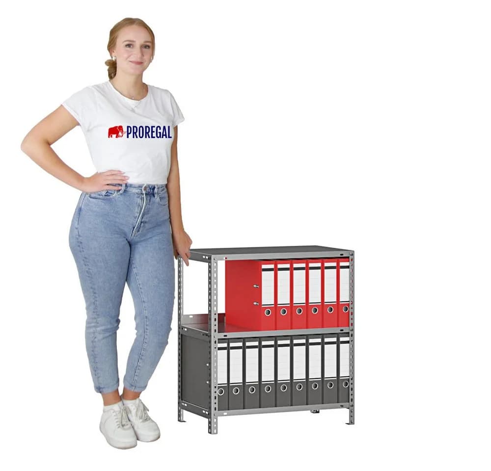PROREGAL® Aktenregal MAGNUS Schraubregal 3-tlg. Stahl verzinkt