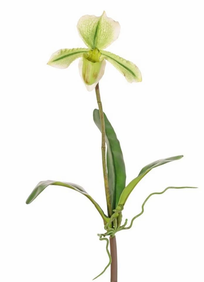 artplants Kunstorchidee Paphiopedilum Grün-Weiß 40cm