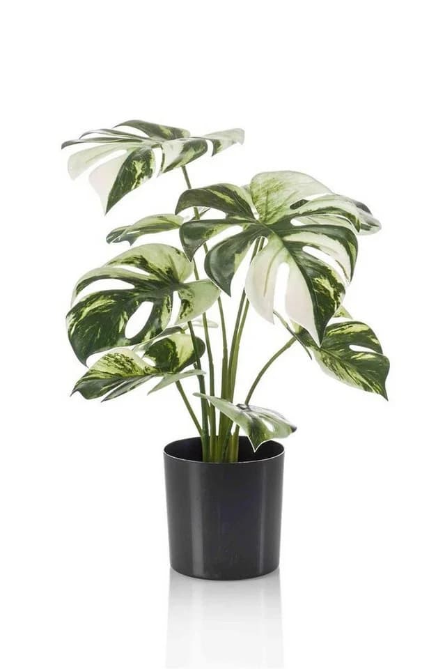 Künstliche Zimmerpflanze Philodendron Monstera Deliciosa Variegata 40cm