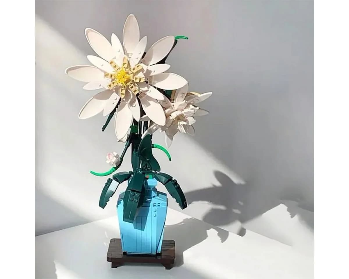 none