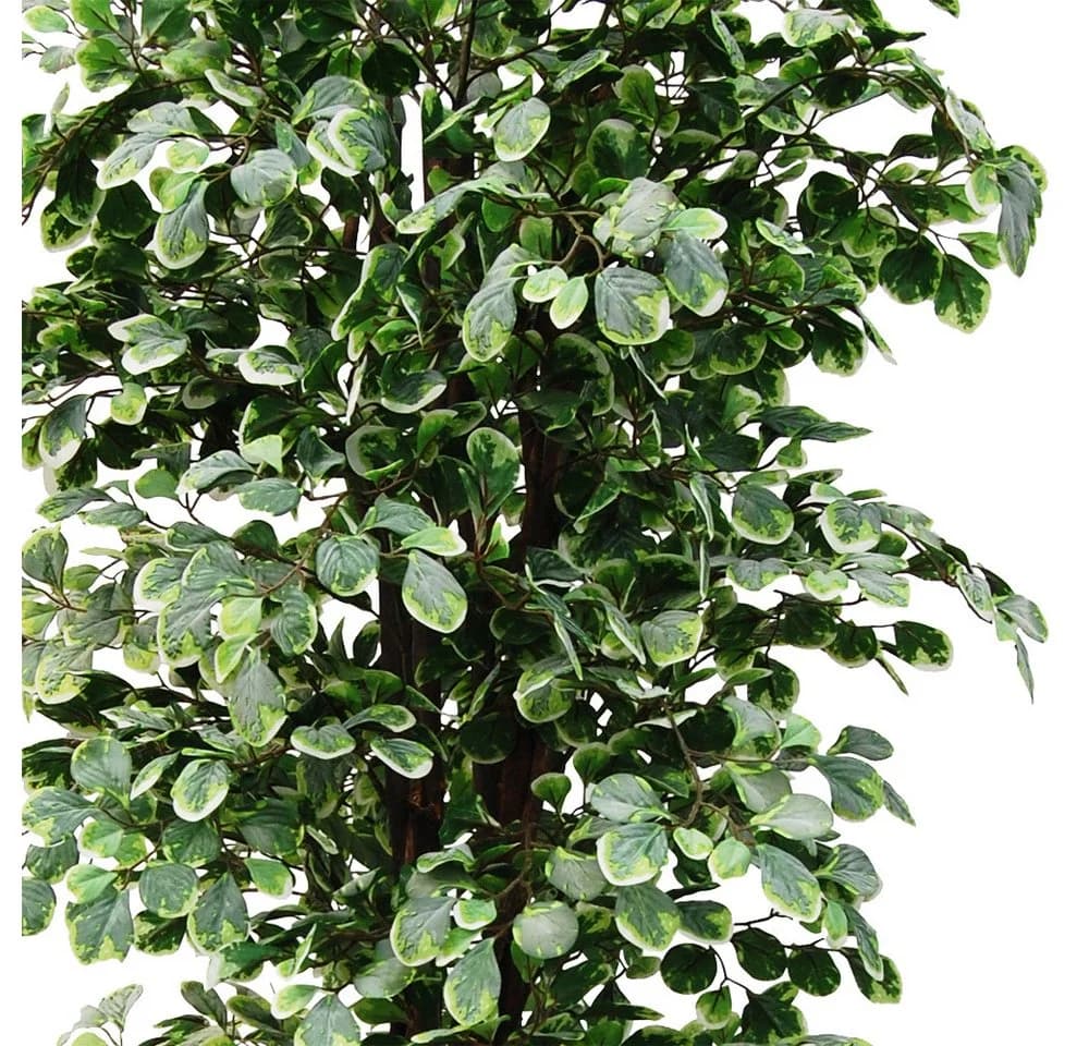 Kunstbaum Ficus Benjamin Kunstpflanze 180 cm