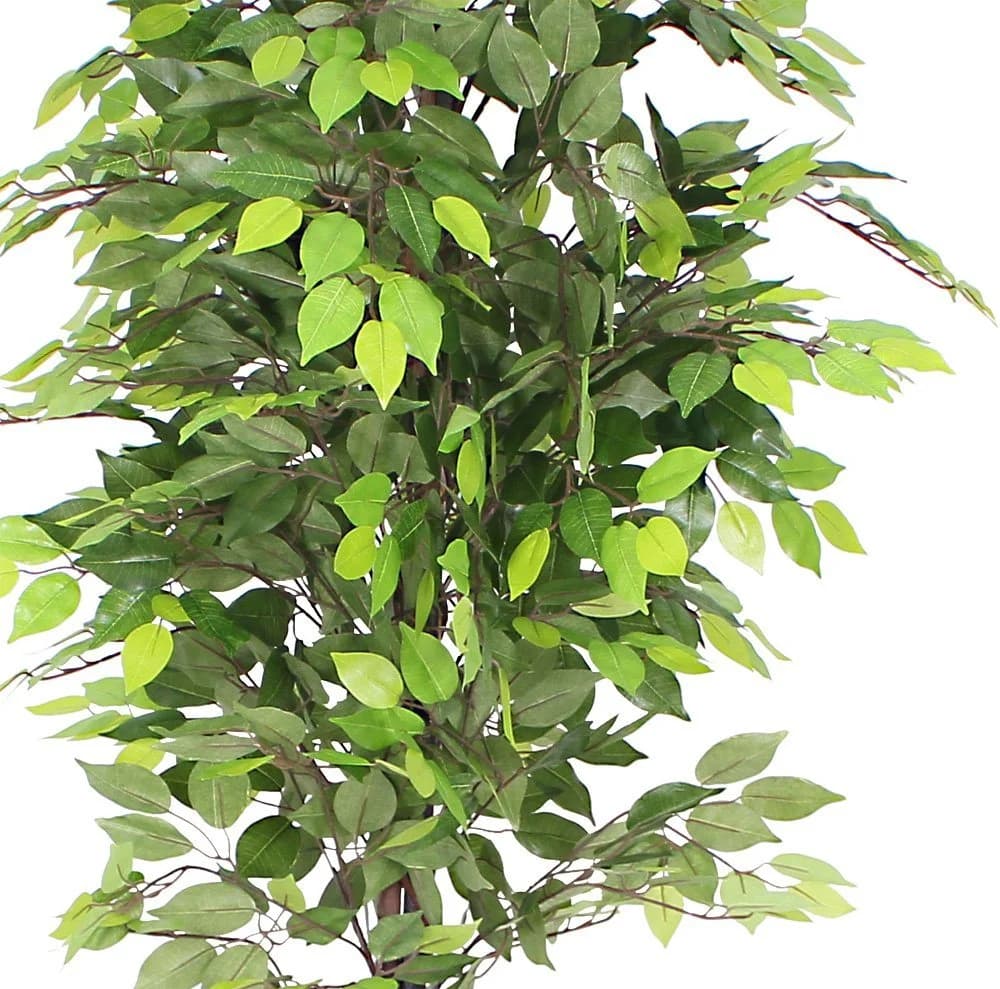 Decovego Kunstbaum Ficus 180 cm Grün mit Echtholz