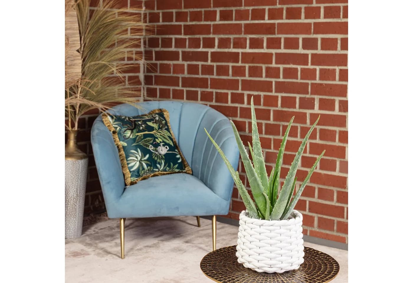 Flowerbox Aloe Vera Zimmerpflanze