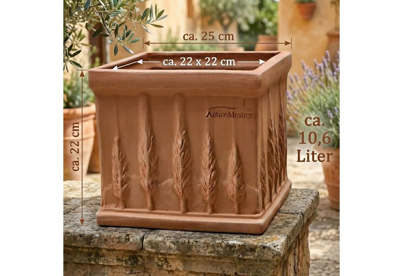 Teramico Blumentopf Quadro Cipressi 25 cm Terrakotta
