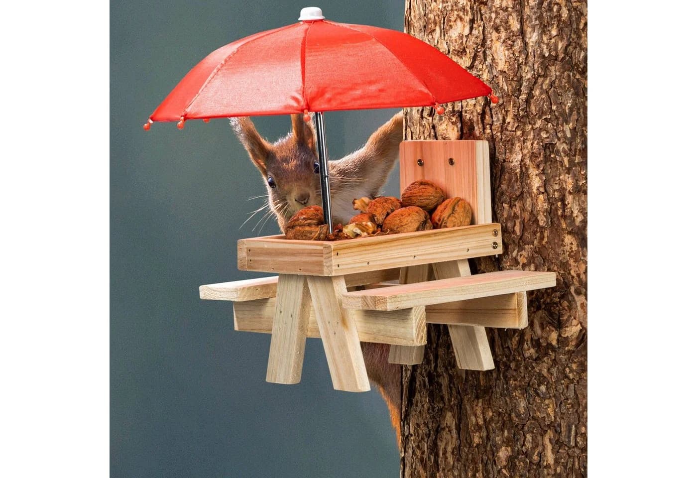 Spetebo Eichhörnchen Futterstation PICKNICK mit Schirm, Futterhaus aus Holz