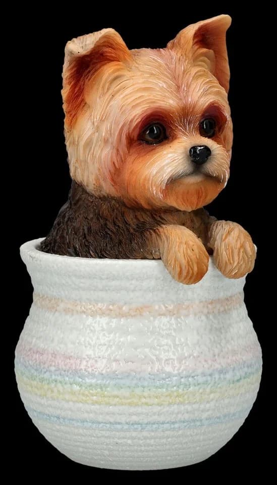 Figuren Shop GmbH Yorkshire Terrier Dekofigur im Blumentopf