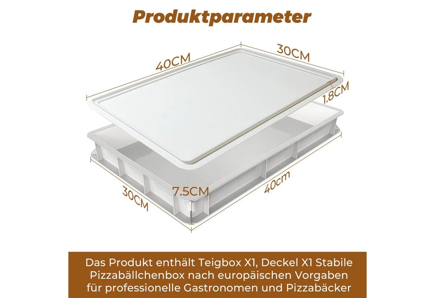 GLIESE Pizzaballenbox 30x40x7,5 cm für 6 Teiglinge