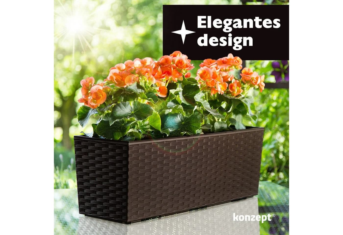 KONZEPT Balkonkasten Rattan-Optik Braun mit Bewässerungssystem