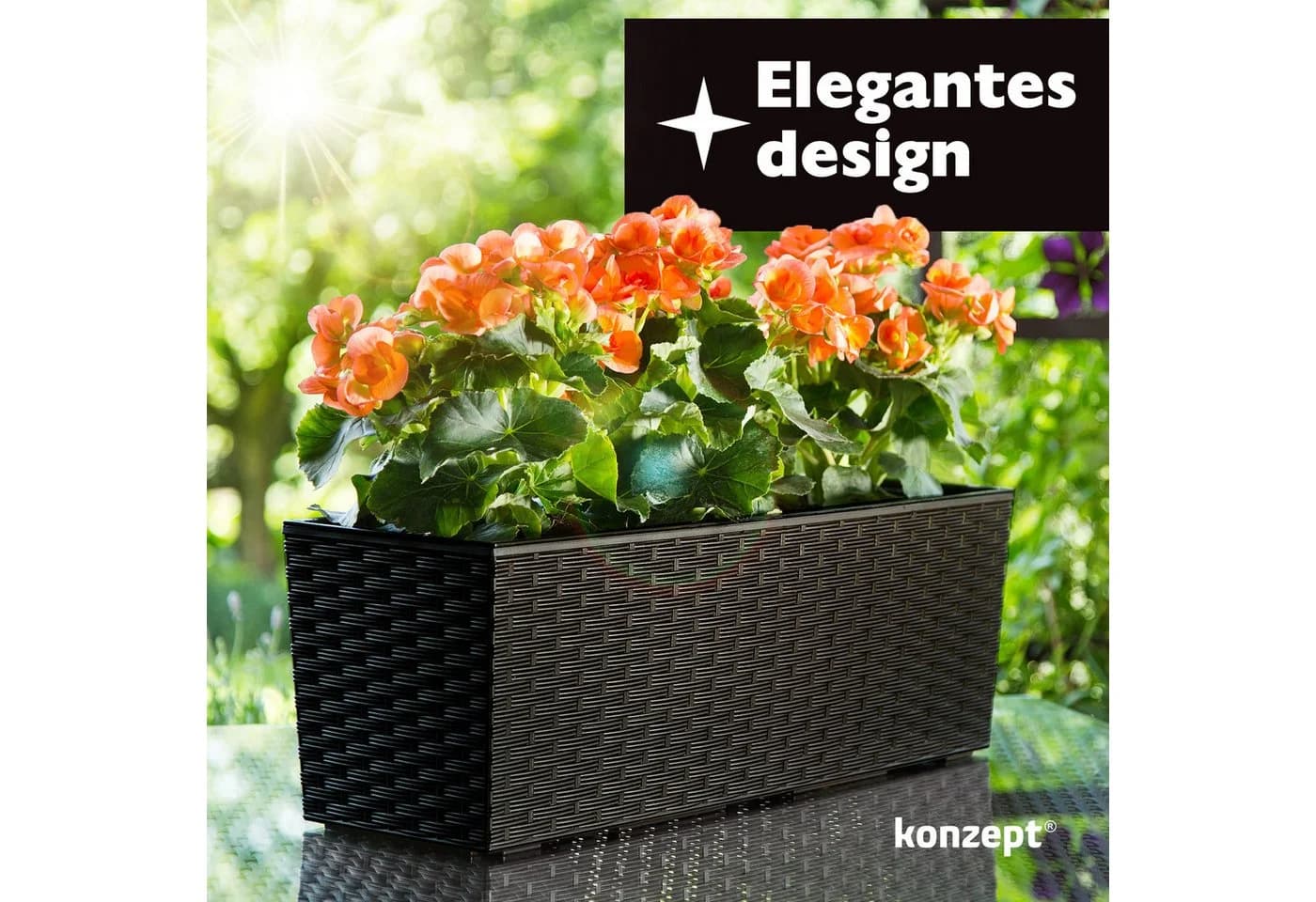 KONZEPT Balkonkasten Rattan-Optik Schwarz Kunststoff