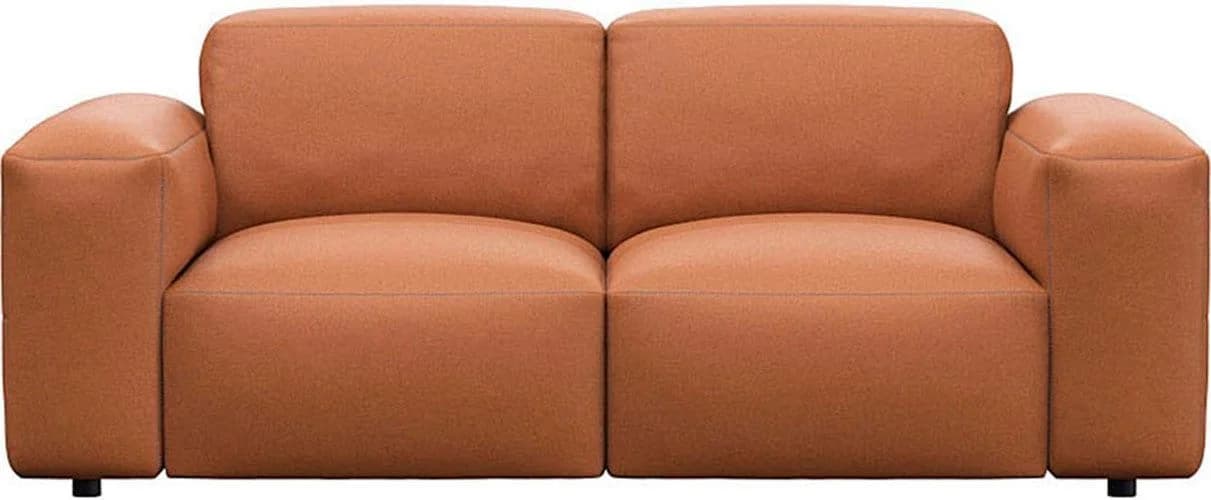 FLEXLUX Lucera 2-Sitzer Sofa Echtleder Braun Modern Skandinavisch