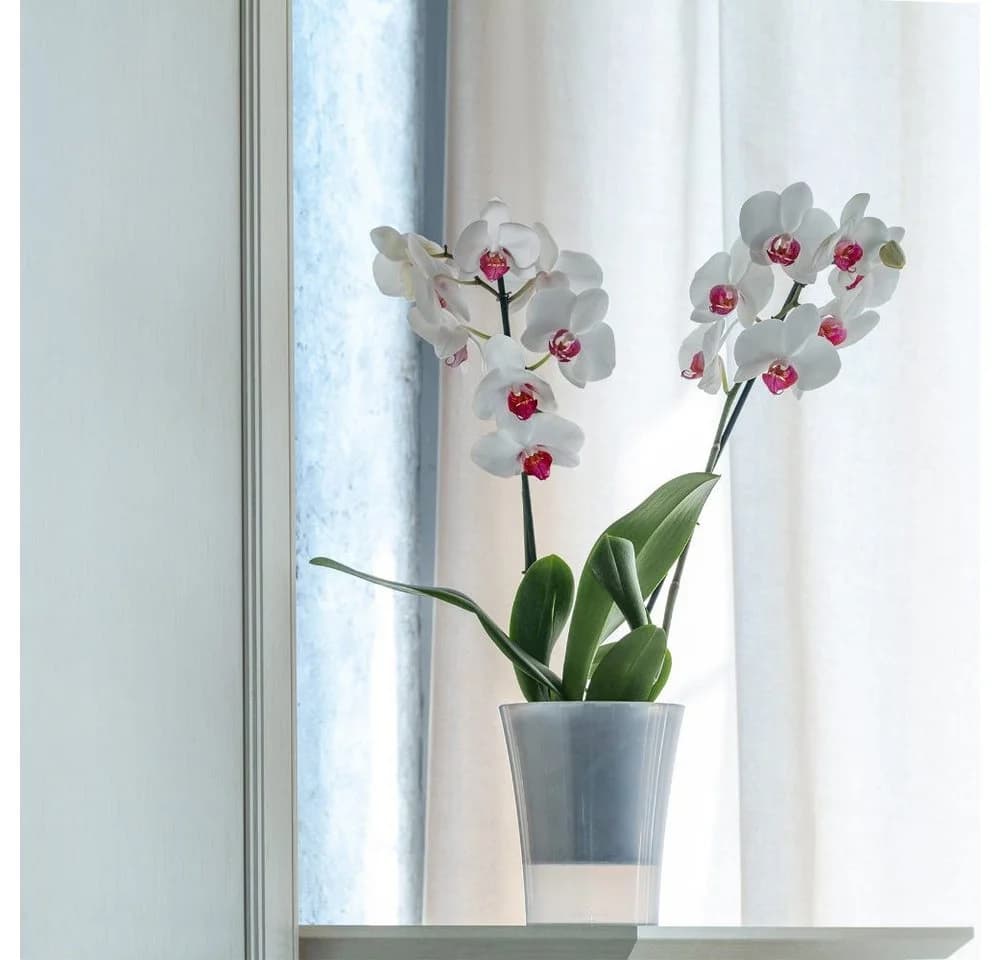 Happy Plants Blumentopf Arte-Dea Selbstbewässerungstöpfe - Blumentopf für Orchideen, Hochglanzoptik, rund, leichtgewichtig