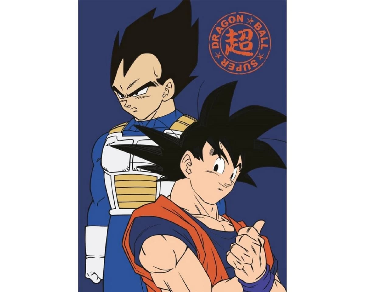 Aymax sprl Wohndecke Dragon Ball Z Fleecedecke Bunt 100x140 cm
