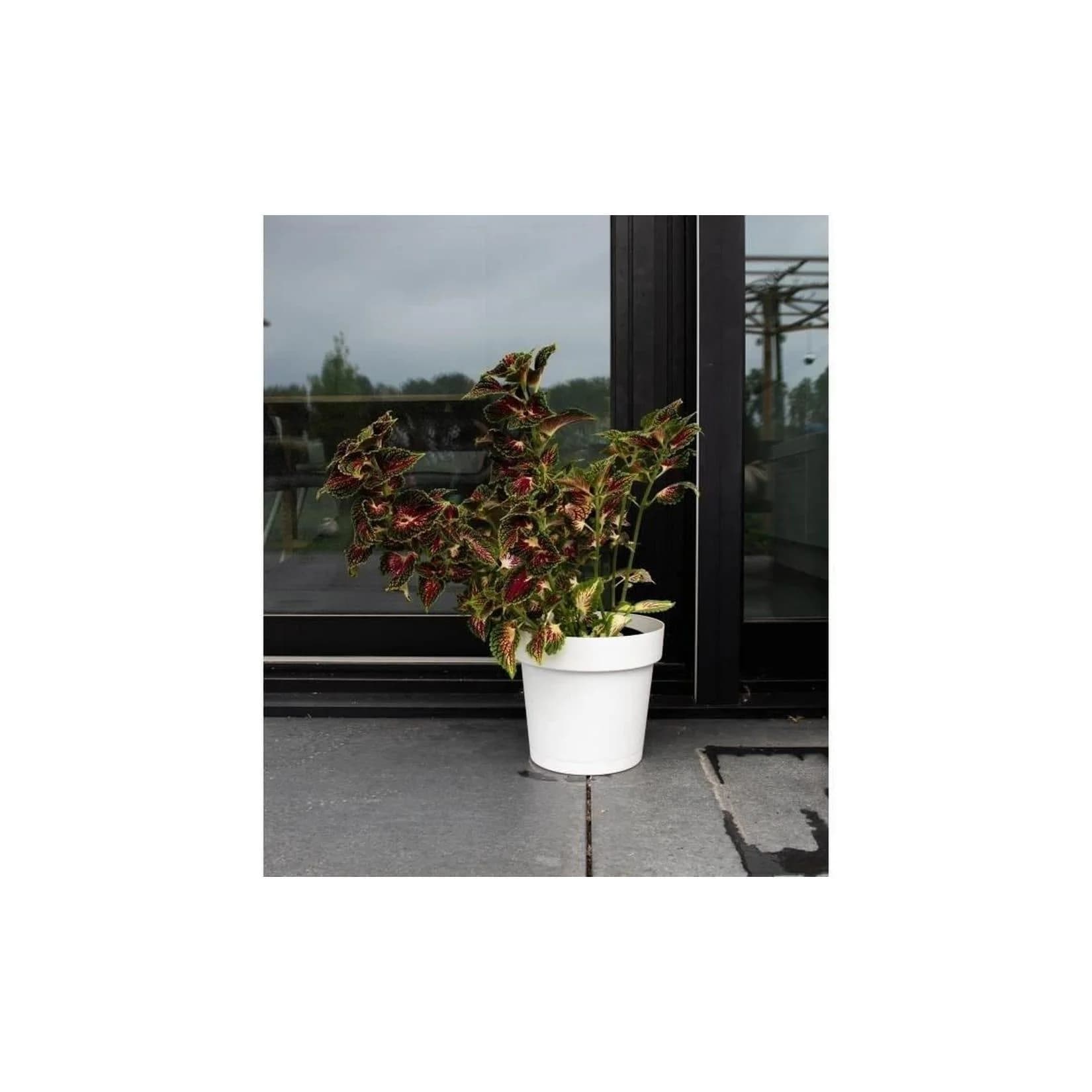 GARDEN ID Wasserauffangtopf Glamour Weiß 40 cm