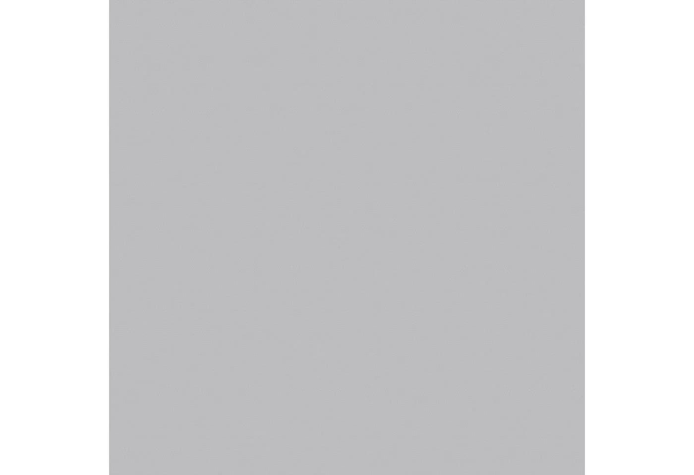 VELUX Verdunklungsrollo DBL C02 4204 Grau Polyester Aluminium