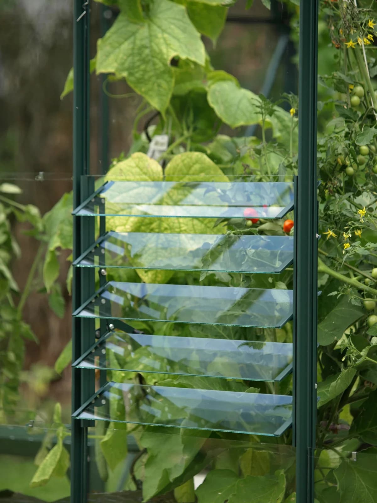 Vitavia Lamellenfenster Grün Aluminium