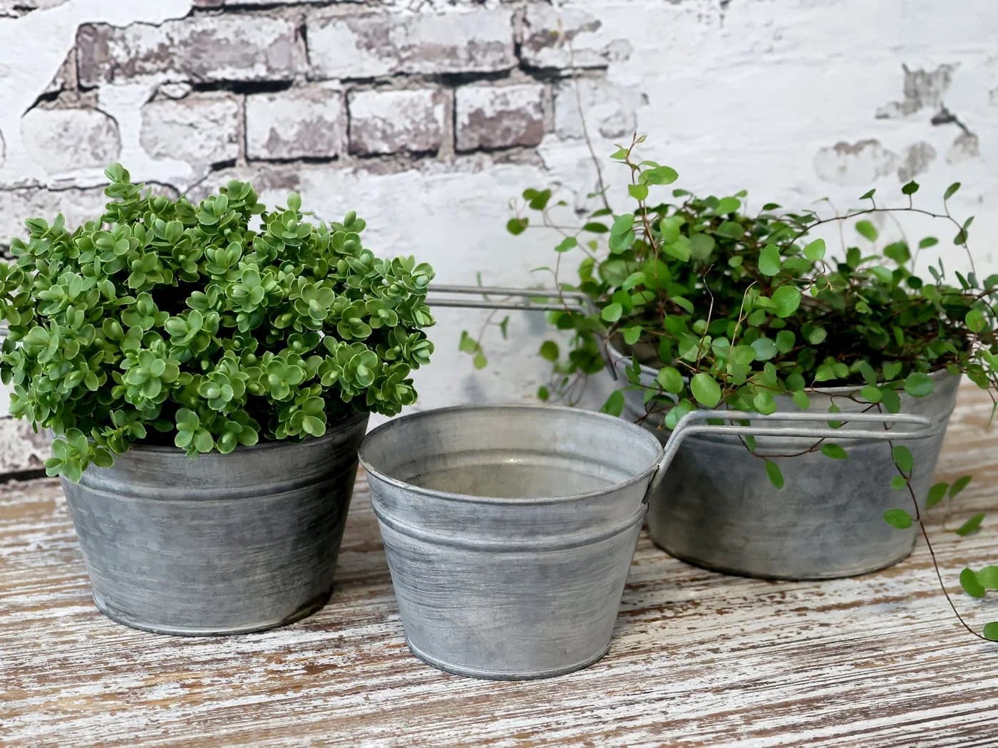 Chic Antique 3er Set Blumentöpfe Grau mit Griffen