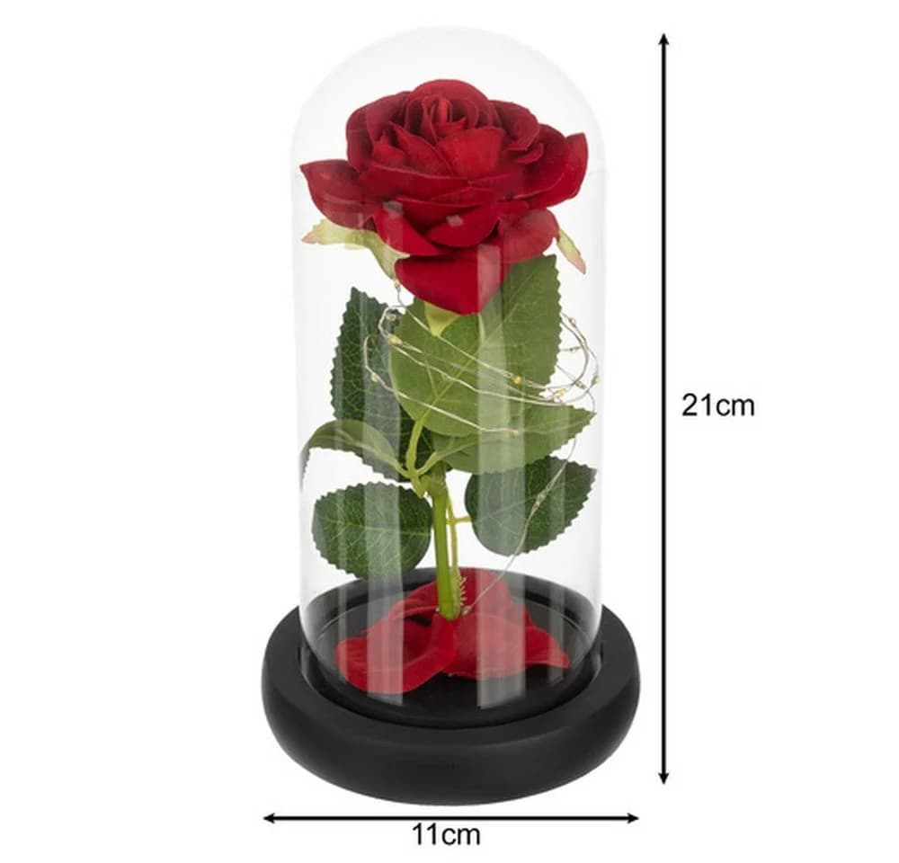 RUHHY LED Rose im Glas mit Glaskuppel und Geschenkbox