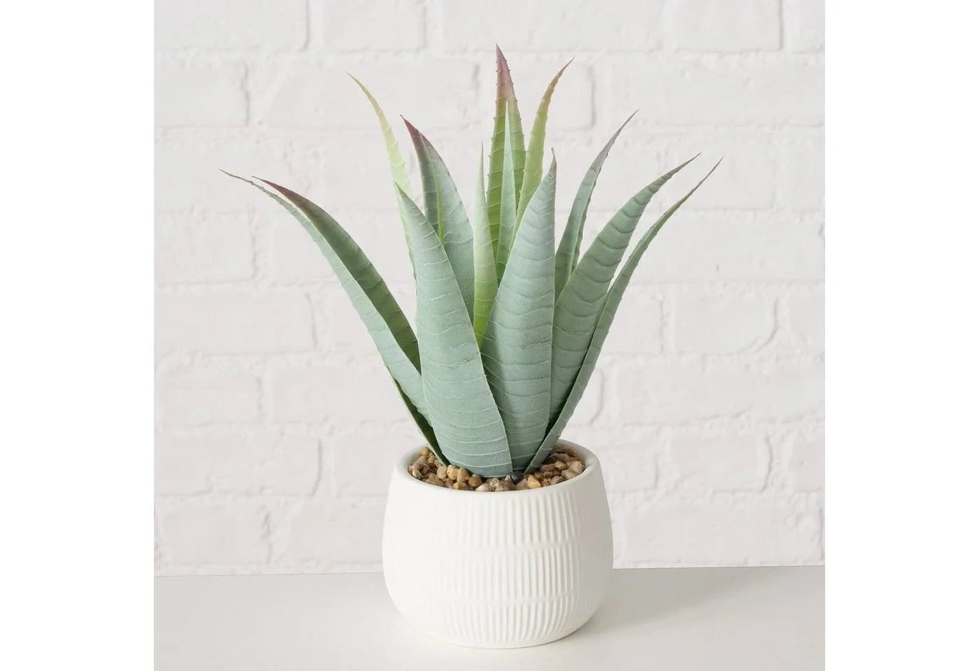 Kunstpflanze Aloe MONDRAGO 29 cm - BOLTZE GRUPPE