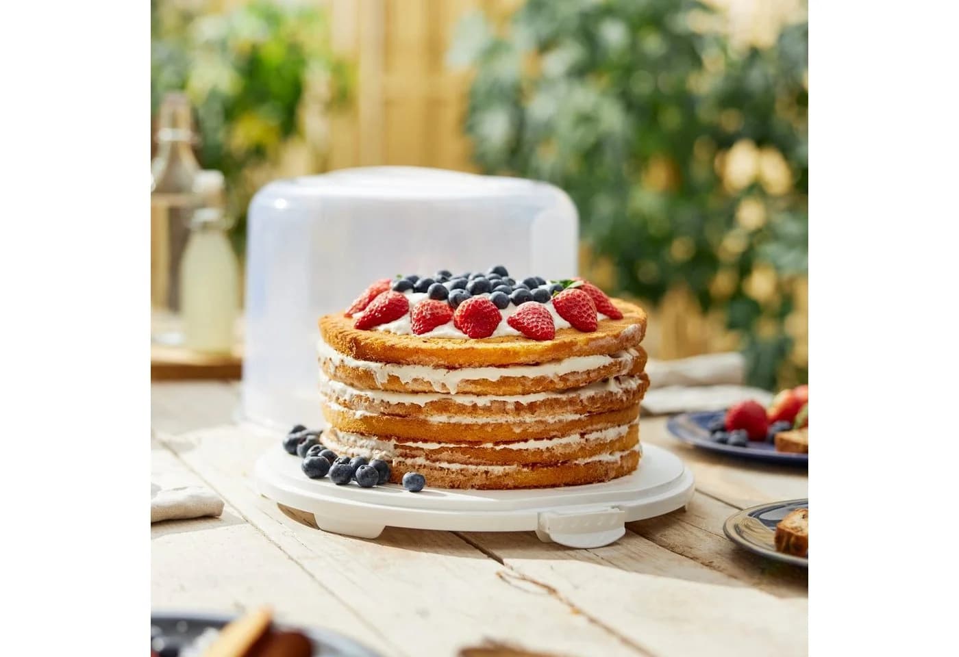 ROTHO Kuchentransportbox XL Weiß Kunststoff