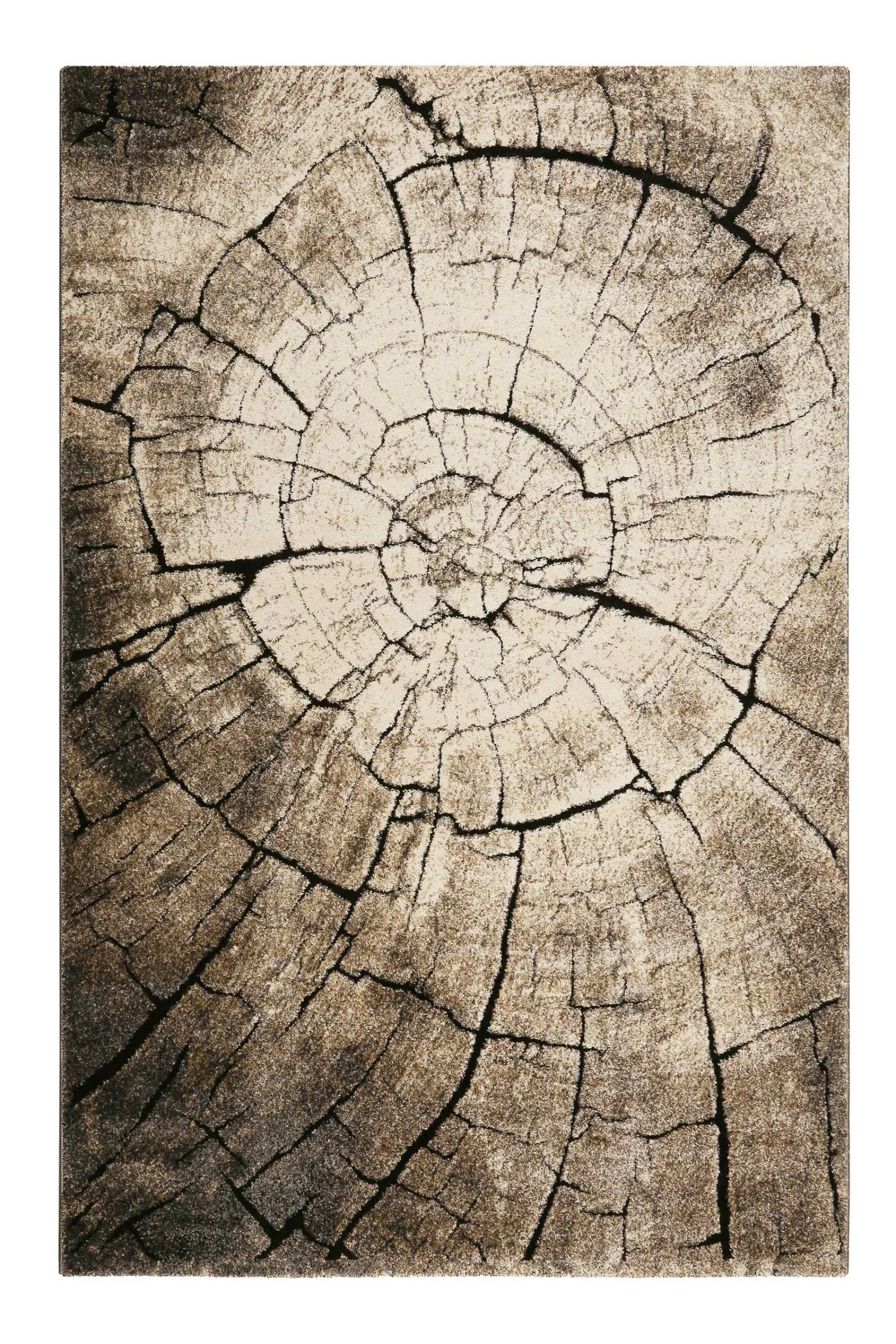 WECON HOME Teppich Wild Oak Braun Hoch-Tief-Effekt Kunstfaser