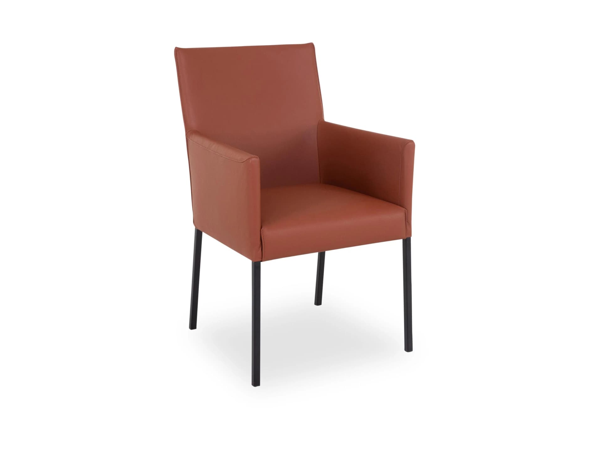 ROLF BENZ 652 Armlehnstuhl Leder Braun Modern