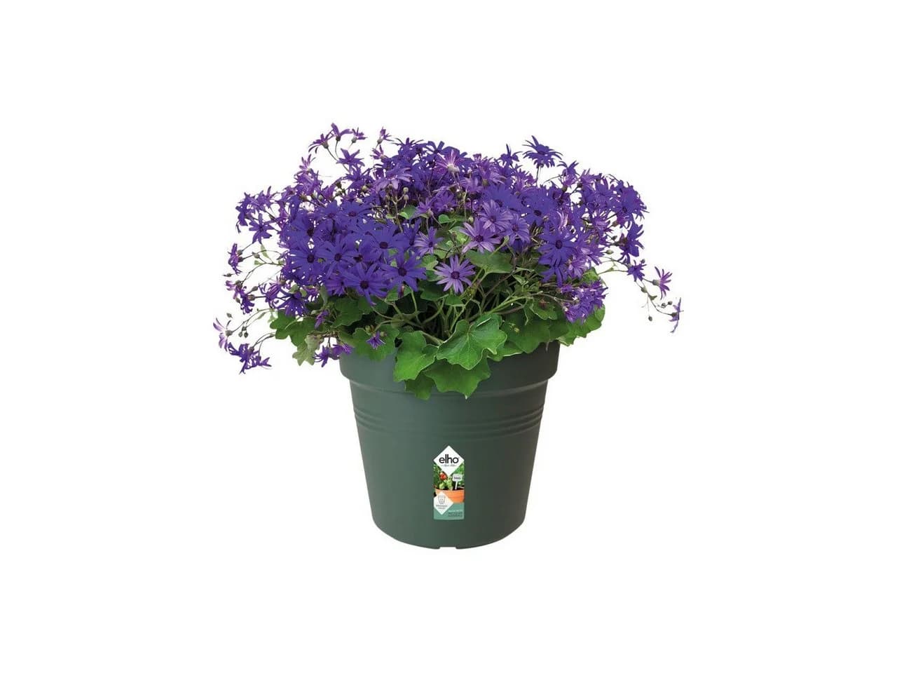 Elho Anzuchttopf Green Basics 19 cm Grün