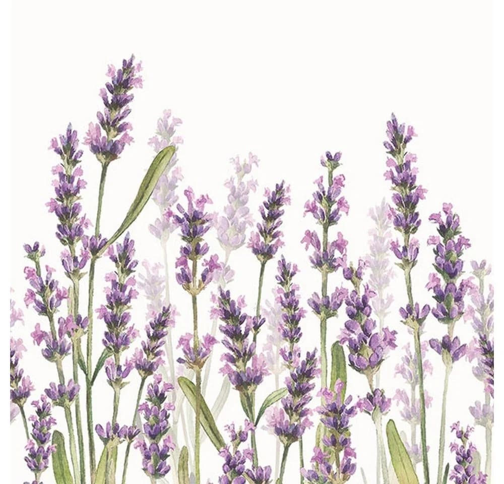 Ambiente Luxury Paper Products Papierserviette Lavender Shades 33x33cm 20 St