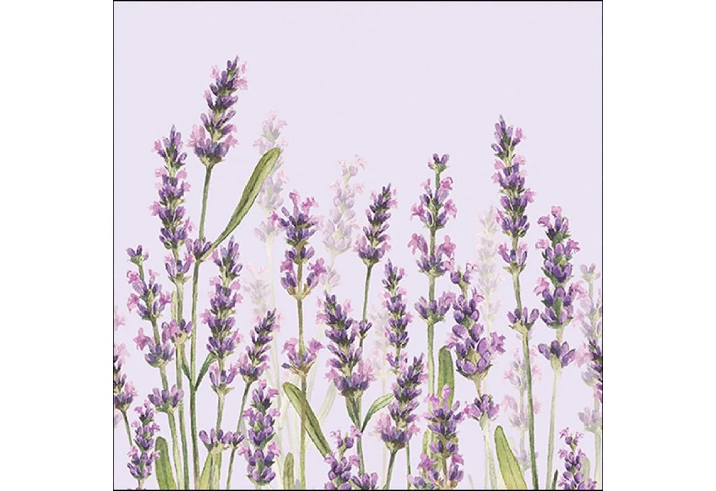Ambiente Luxury Paper Products Papierserviette 3-lagig Aquarell Lavendel 20 Stk