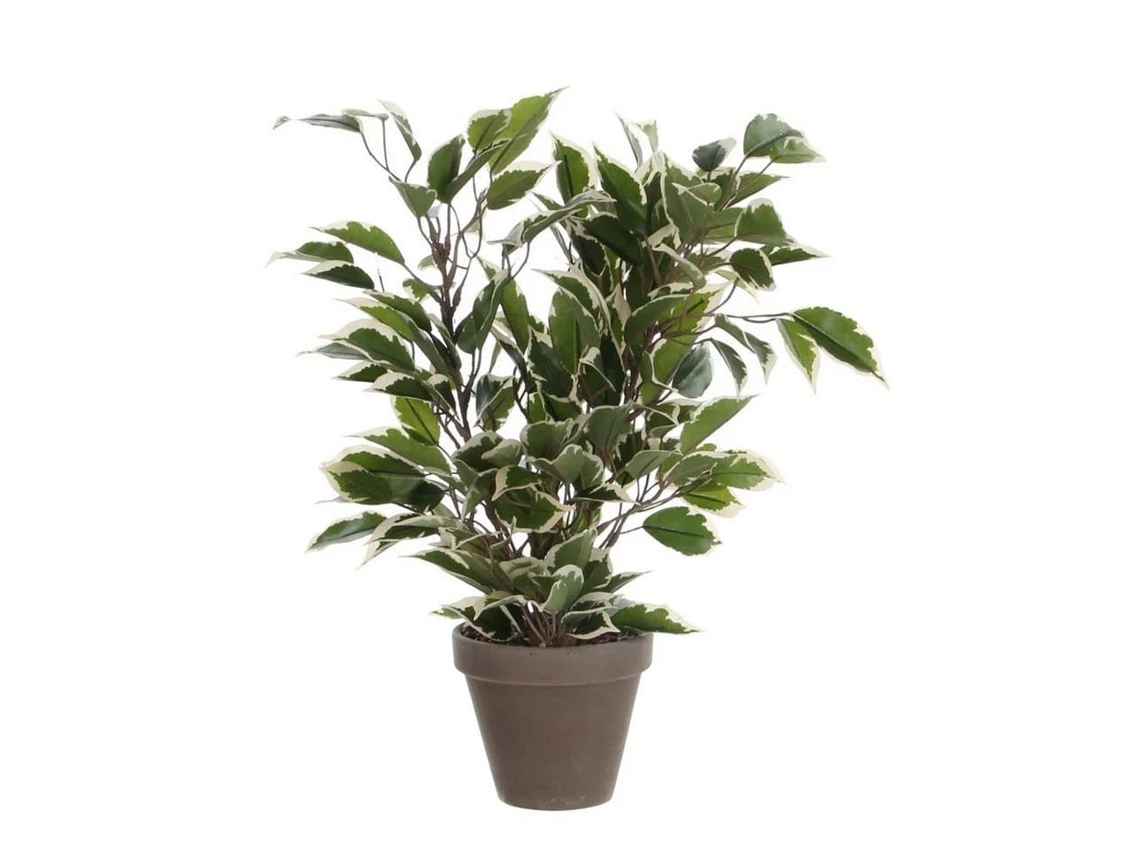 Mica Decorations Kunstpflanze Ficus Natasja Grün Bunt im Topf