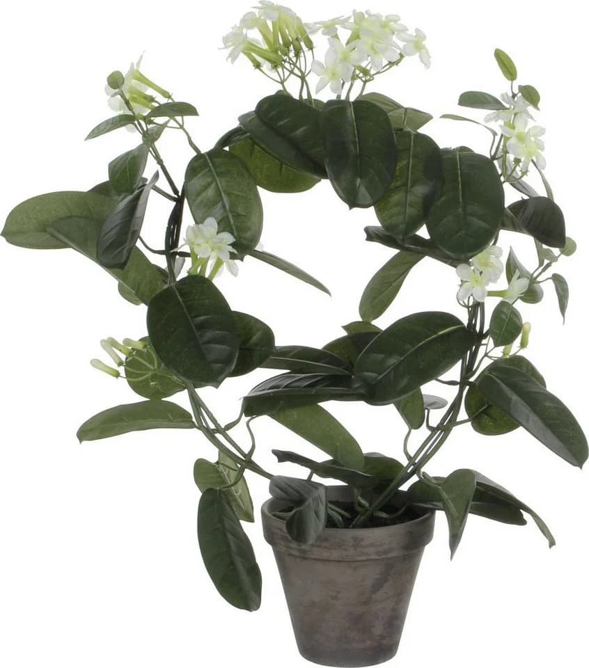 Kunstpflanze Stephanotis Weiß Mica Decorations