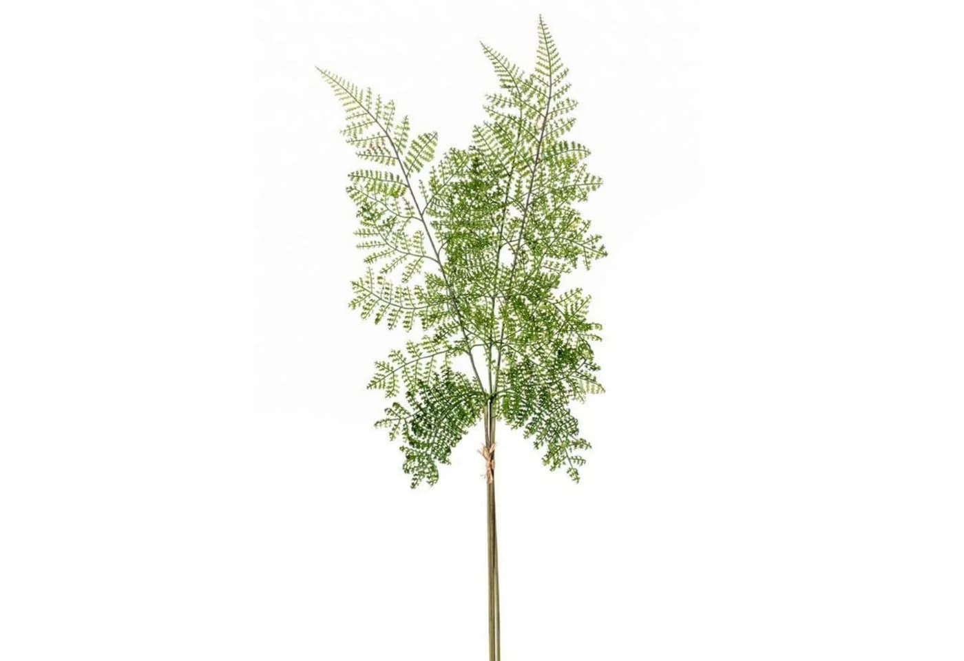 Emerald Kunstpflanze Farn Grün 58 cm