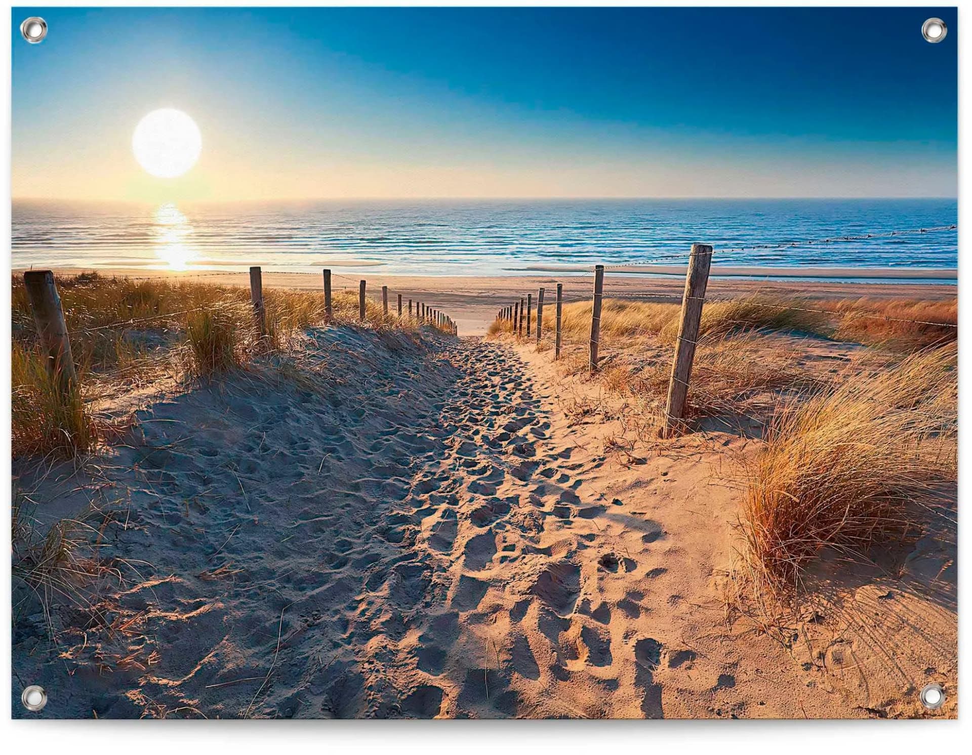 REINDERS Poster Dünenweg zum Meer blau Leinwand