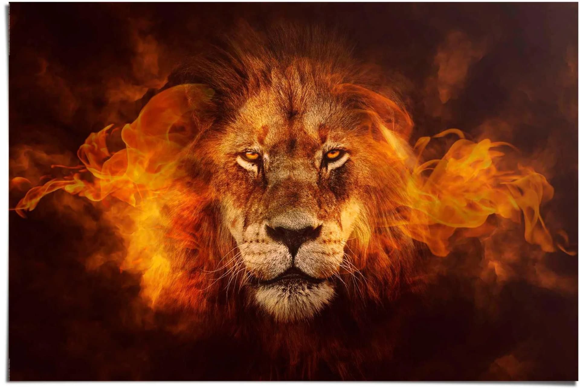 Poster REINDERS Löwe in Flammen Braun