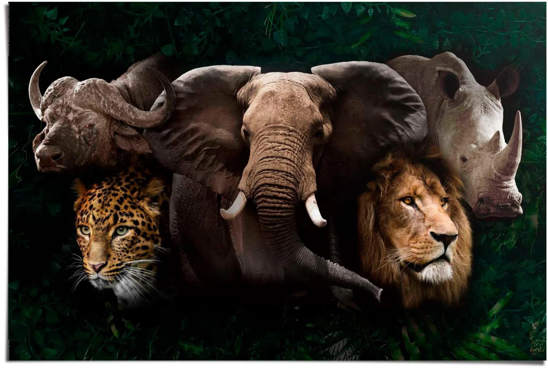 Poster REINDERS "The big five" Braun 91,5x61 cm Papier