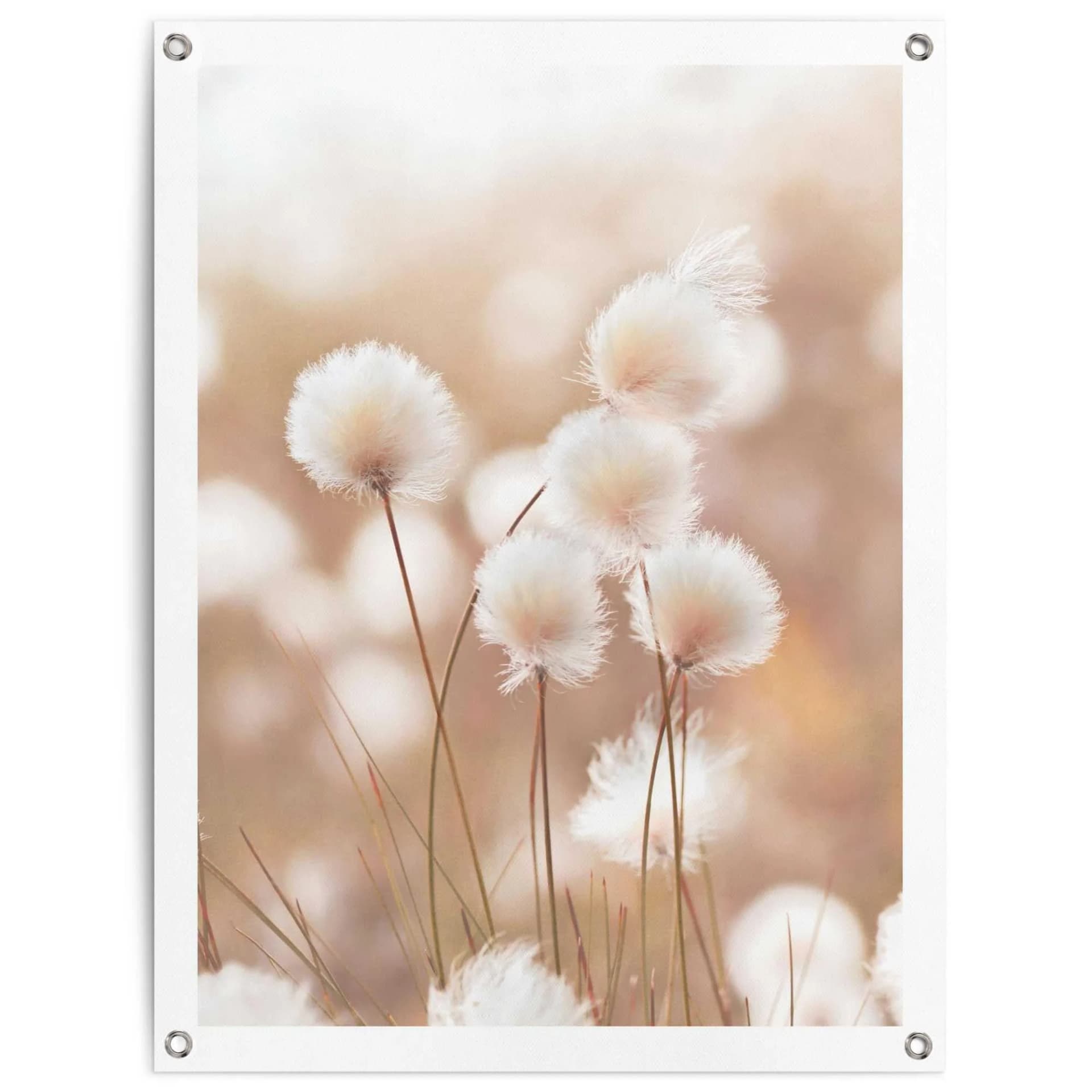 REINDERS Poster Baumwollzweig Beige 60x80 cm