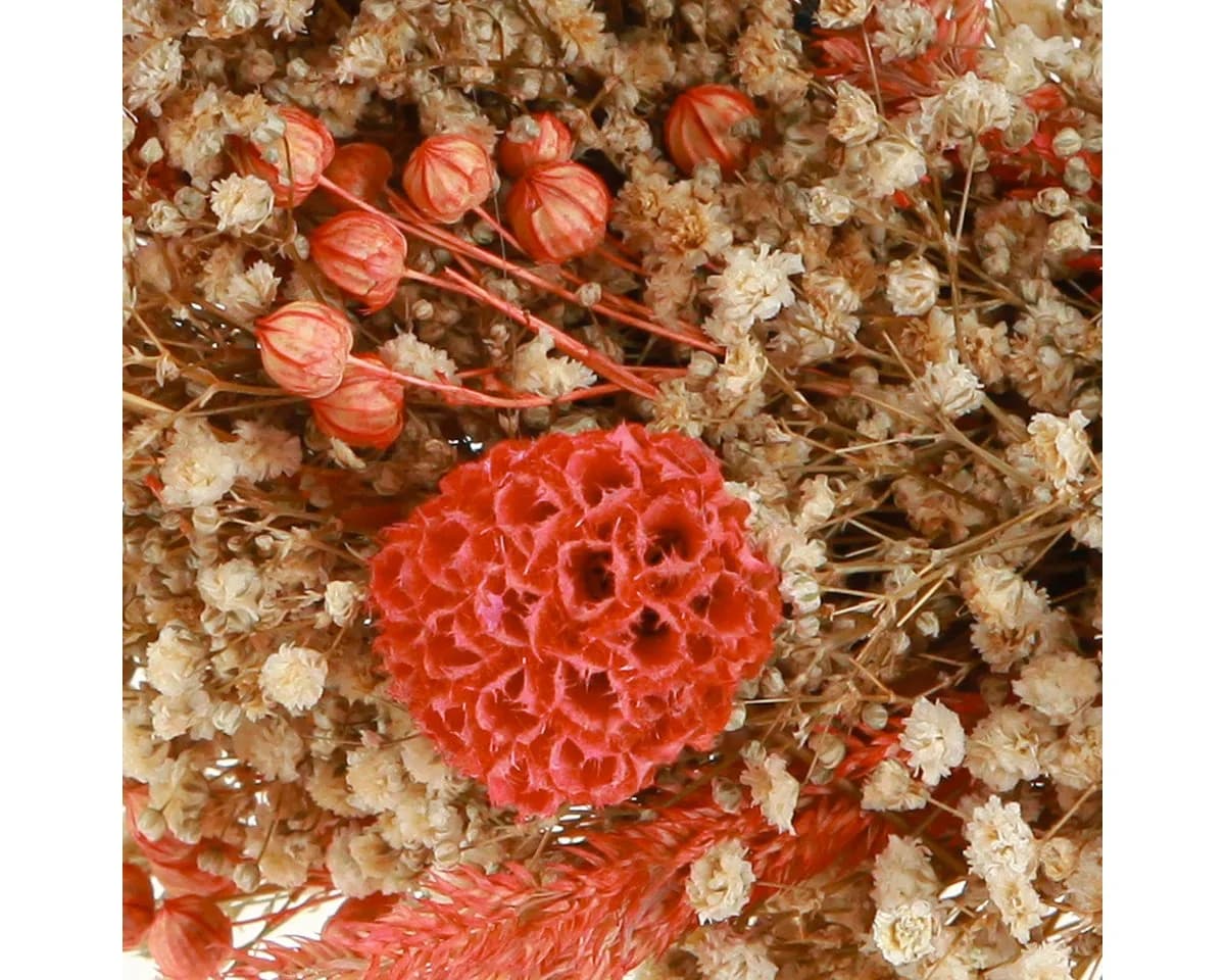 Viana Trockenblumen Deko Kranz Orange Creme Ø25cm