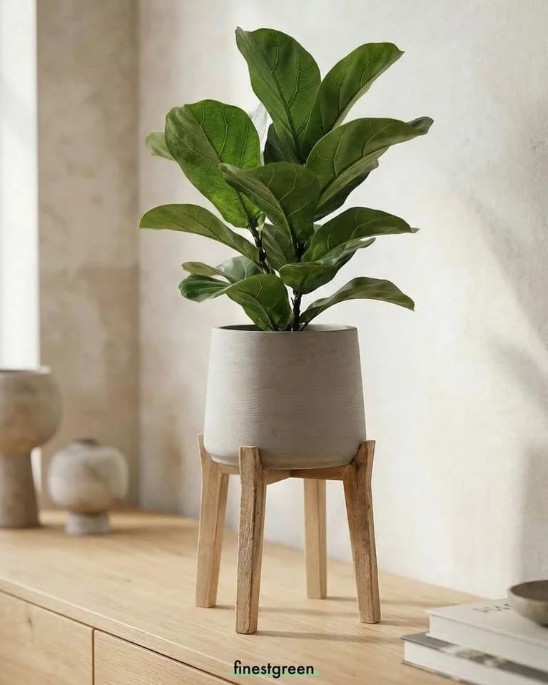 finestgreen Pflanzkübel Patt Feet High Grau Fiberclay mit Holzfüßen