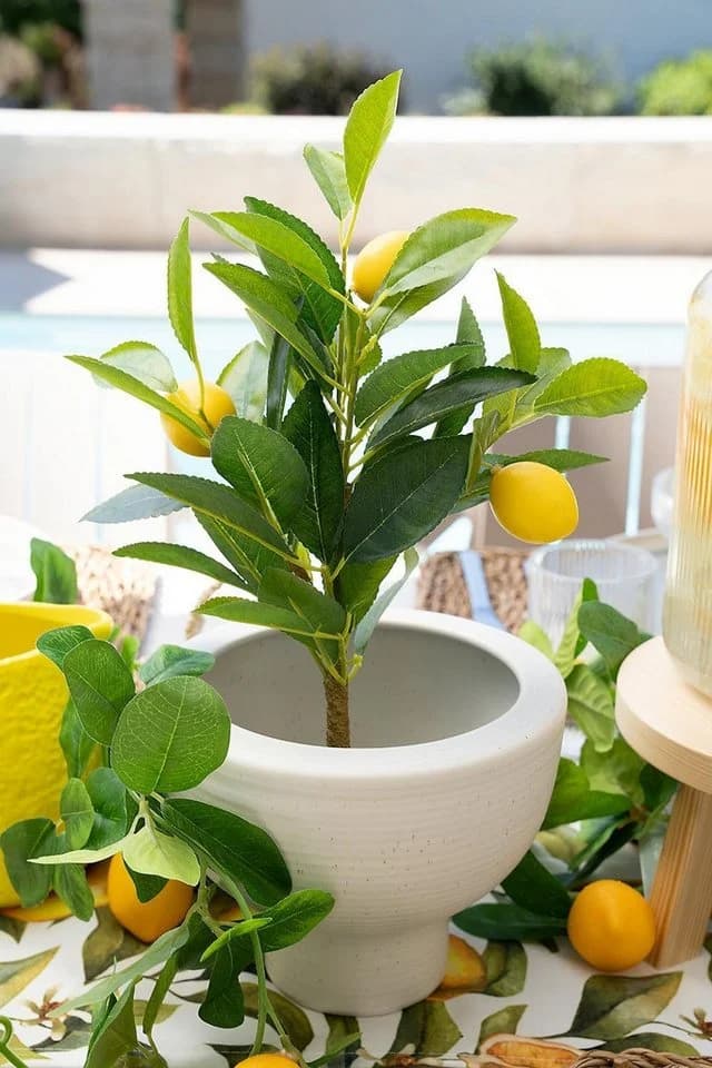 Kunstbaum CITRON, Gelb, Grün, Kunststoff, Naturgetreu, Zitronenbaum, Kaemingk