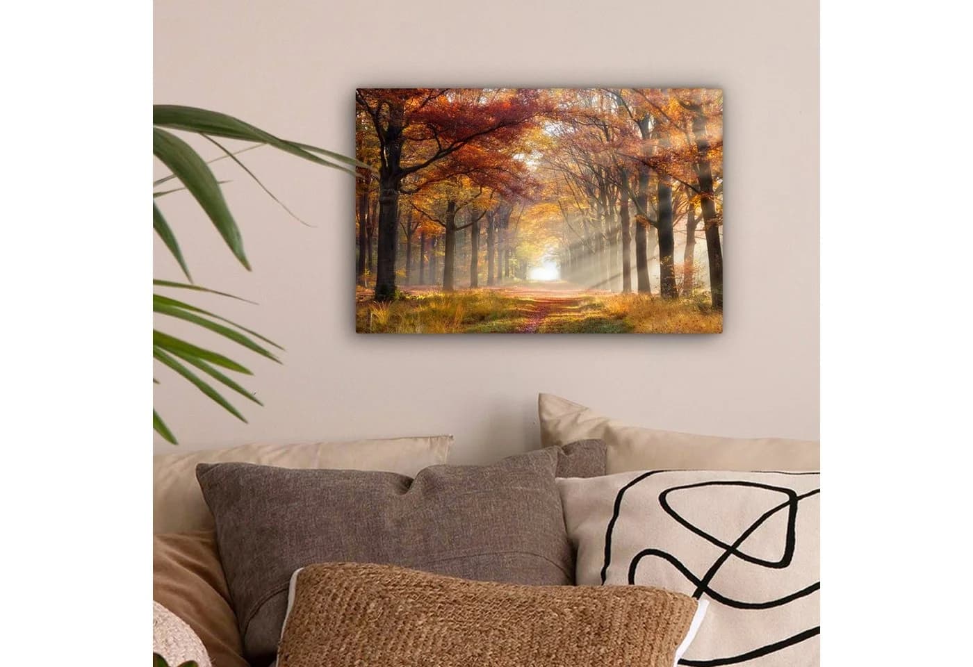 OneMillionCanvasses Leinwandbild Herbst Wald Baum Fotodruck 30x20 cm