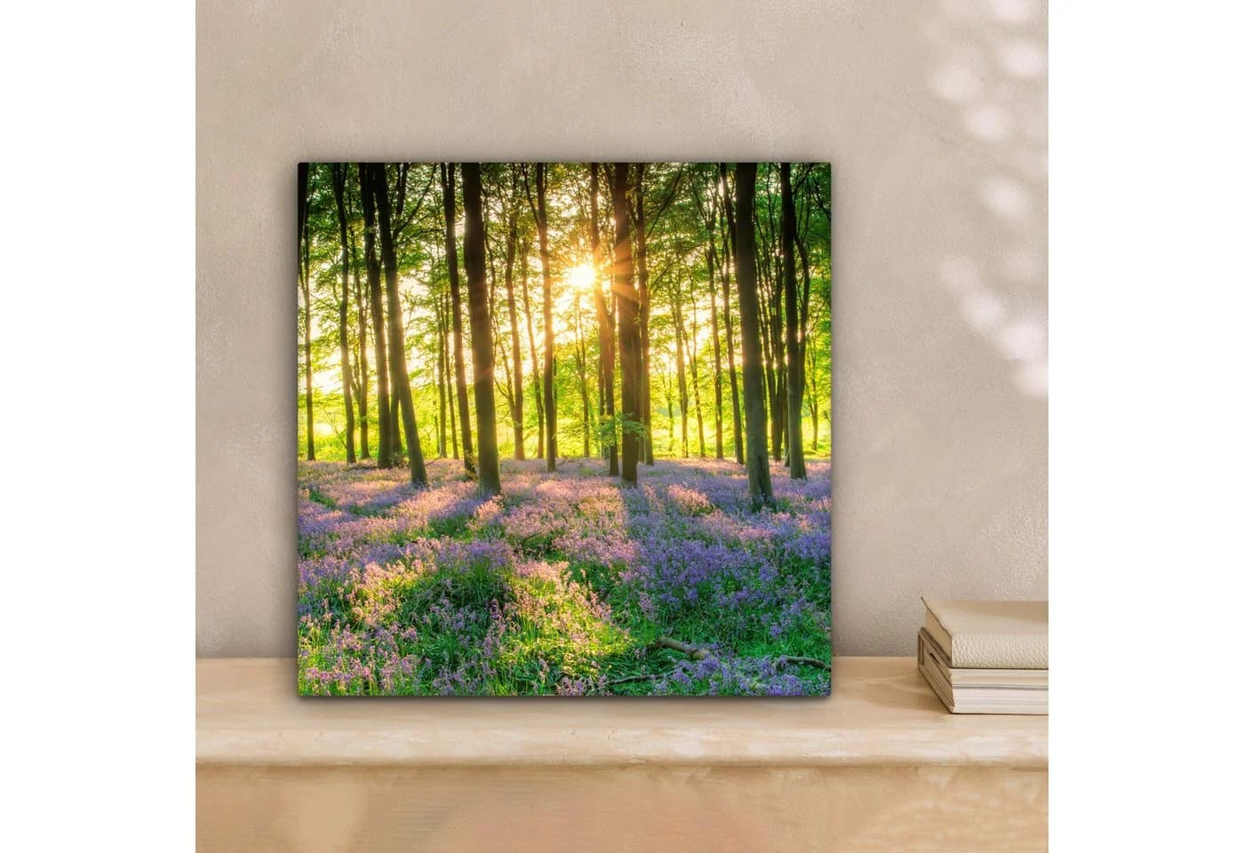 OneMillionCanvasses® Leinwandbild Wald Sonnenuntergang 20x20 cm