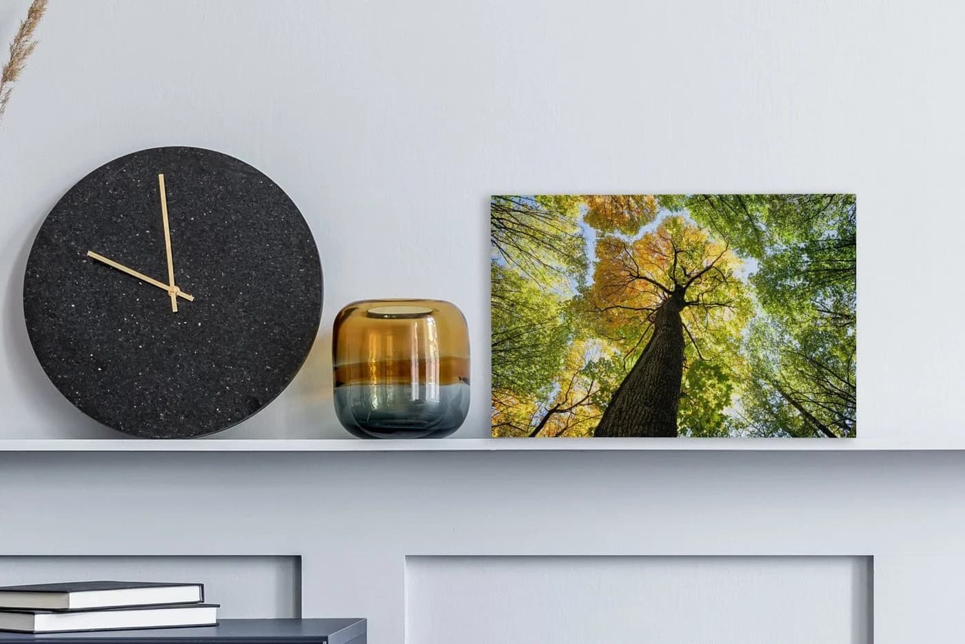 OneMillionCanvasses® Leinwandbild Baum Natur Wald Aesthetic 30x20 cm