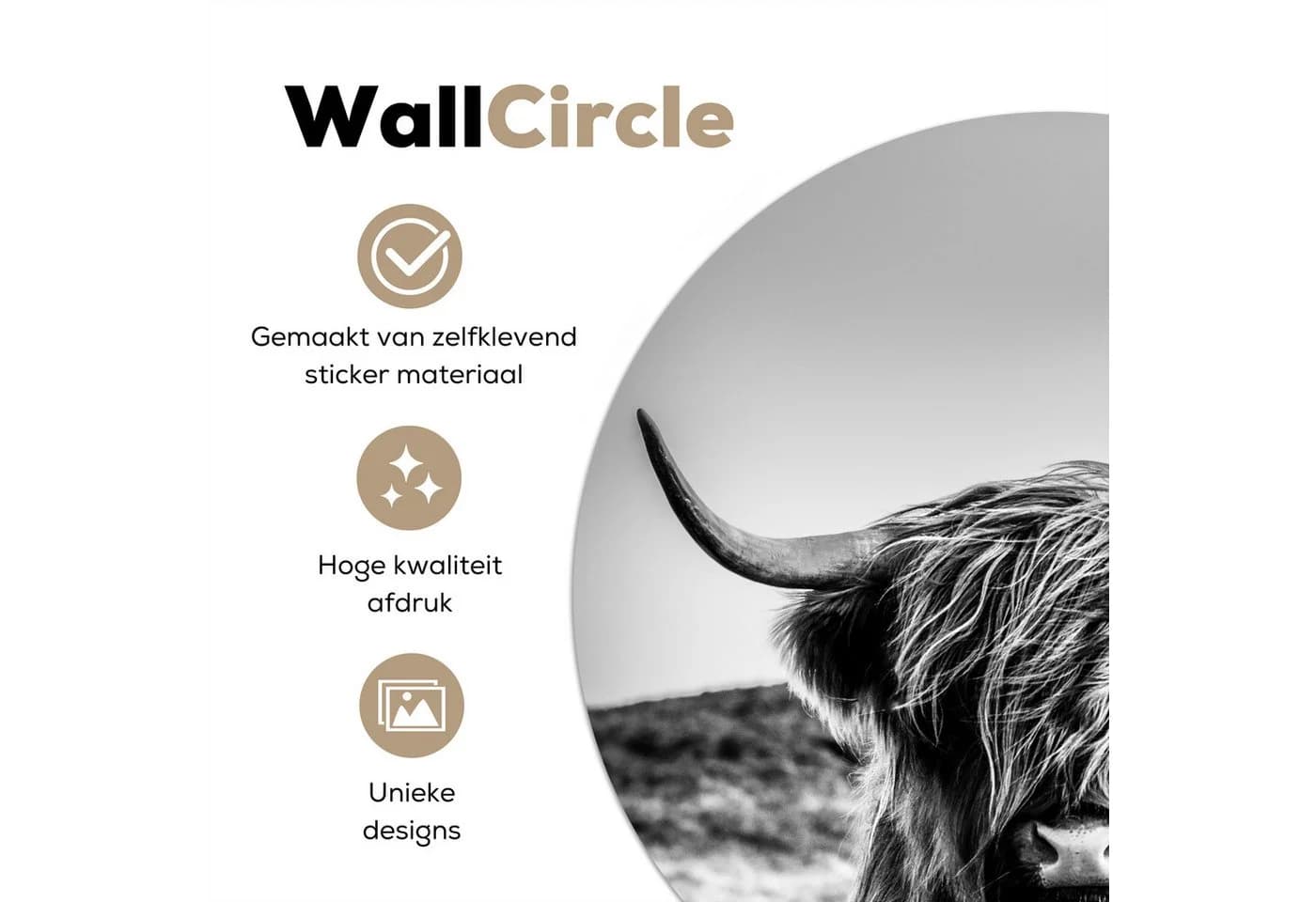 MuchoWow Wandsticker Schottischer Highlander Schwarz-Weiß