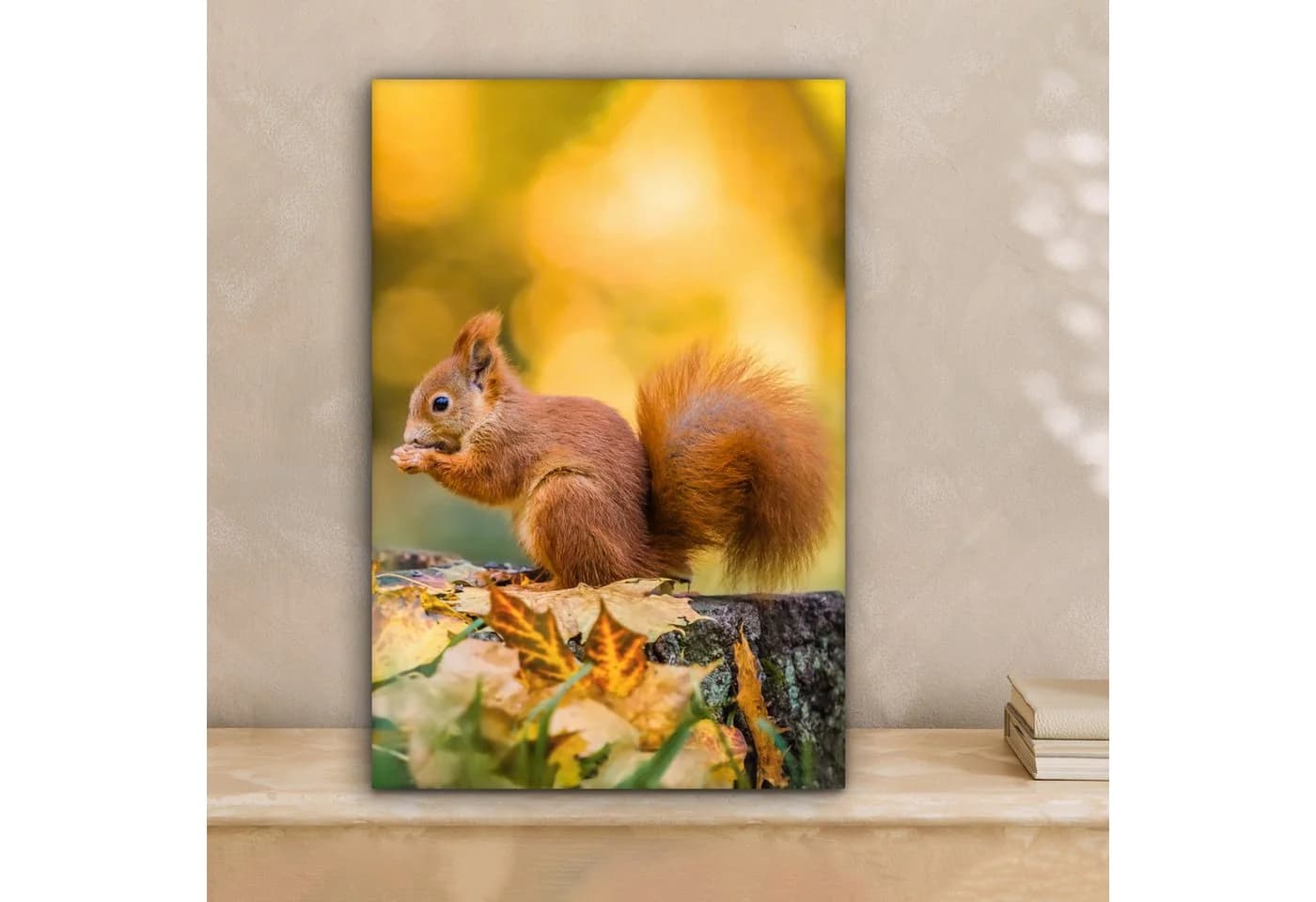 OneMillionCanvasses® Leinwandbild Eichhörnchen Herbst Wald 20x30 cm