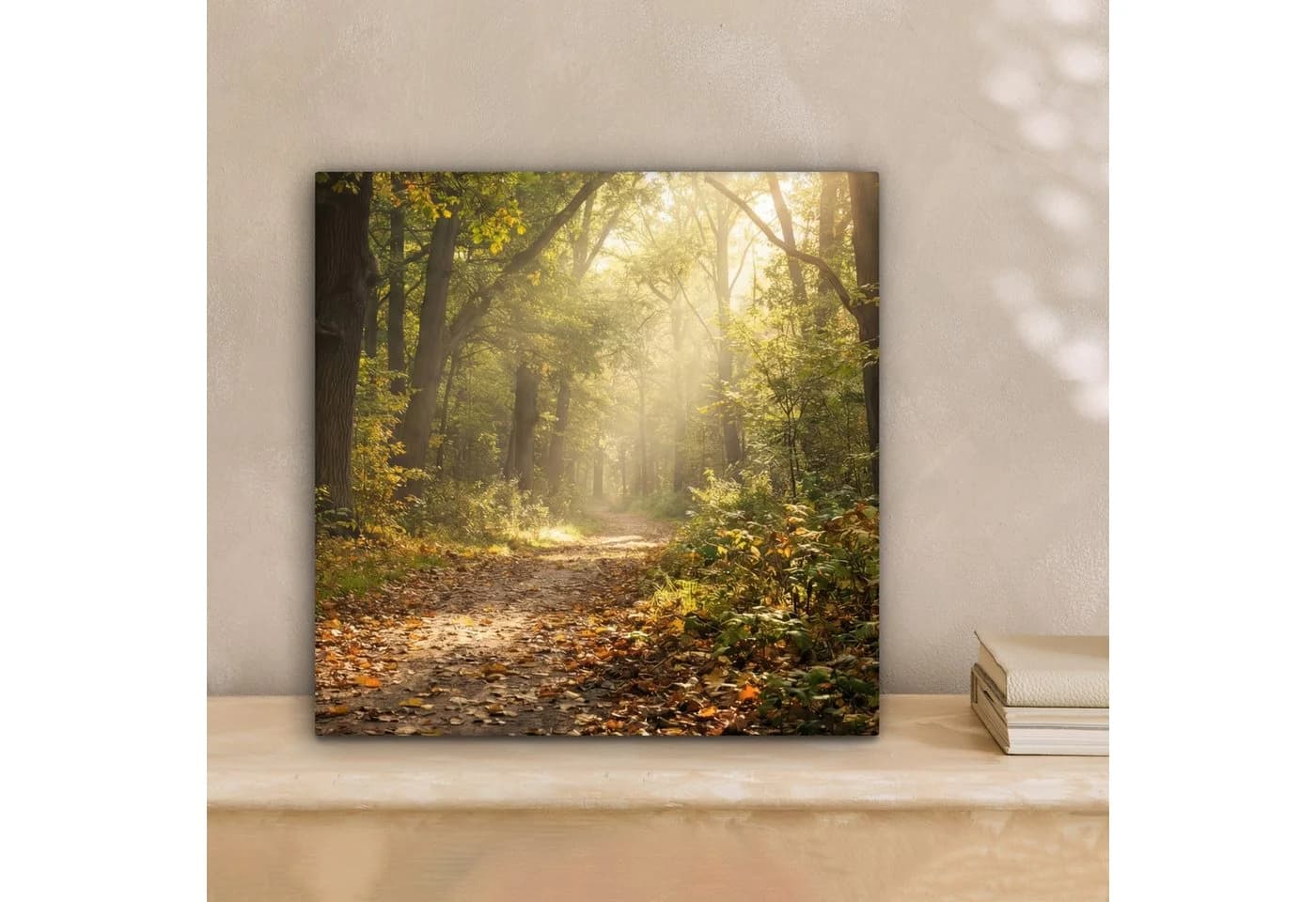 OneMillionCanvasses® Leinwandbild Waldweg mit Sonnenlicht