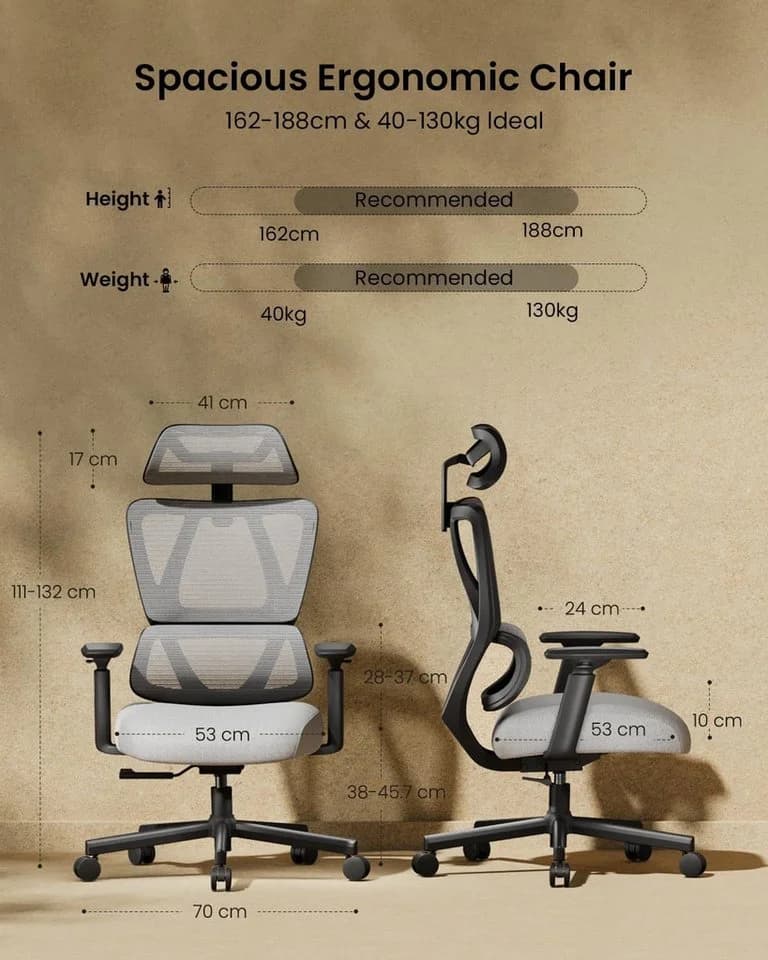 ProtoArc EC100 Ergonomischer Bürostuhl mit Lendenwirbelstütze Grau