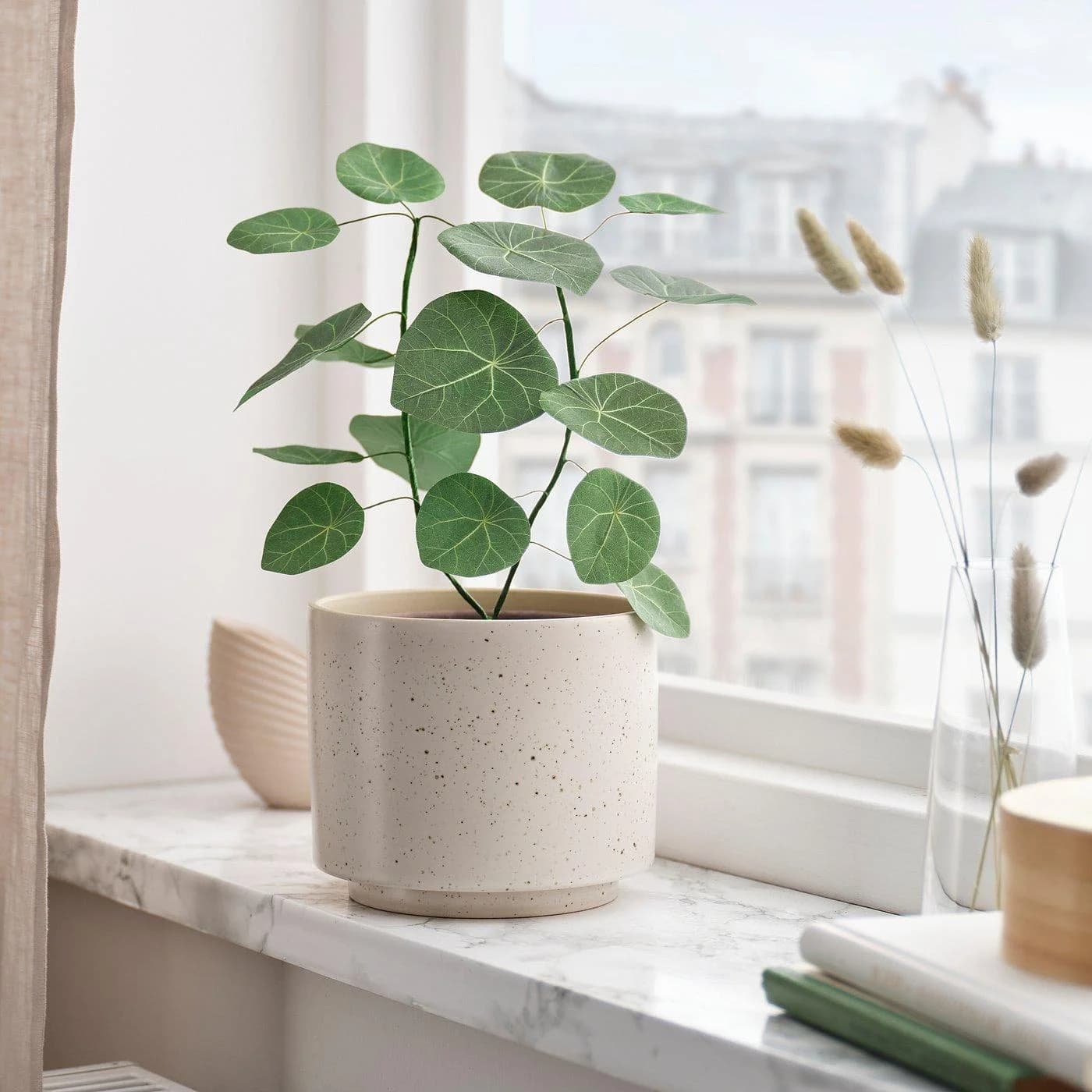 IKEA SMÅTÄRNA Topfpflanze künstlich Papier Stephania Grün