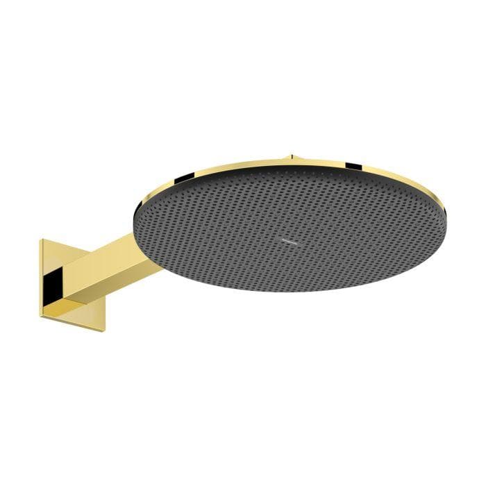 Hansgrohe Raindance Alive S Duschkopf 24541990 2 Strahlarten EcoSmart Polished Gold Optic